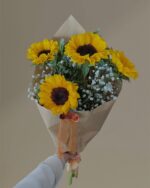 girasoles