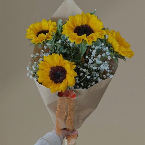 girasoles
