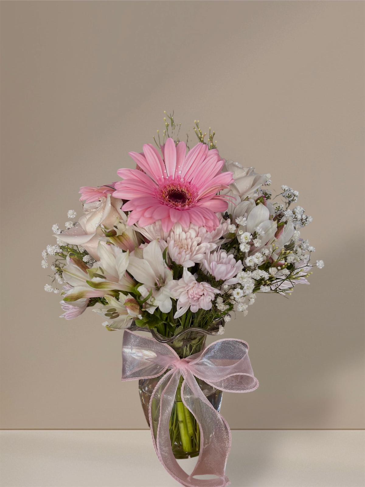 WhatsApp Image 2026-02-20 at 4.24.12 PM